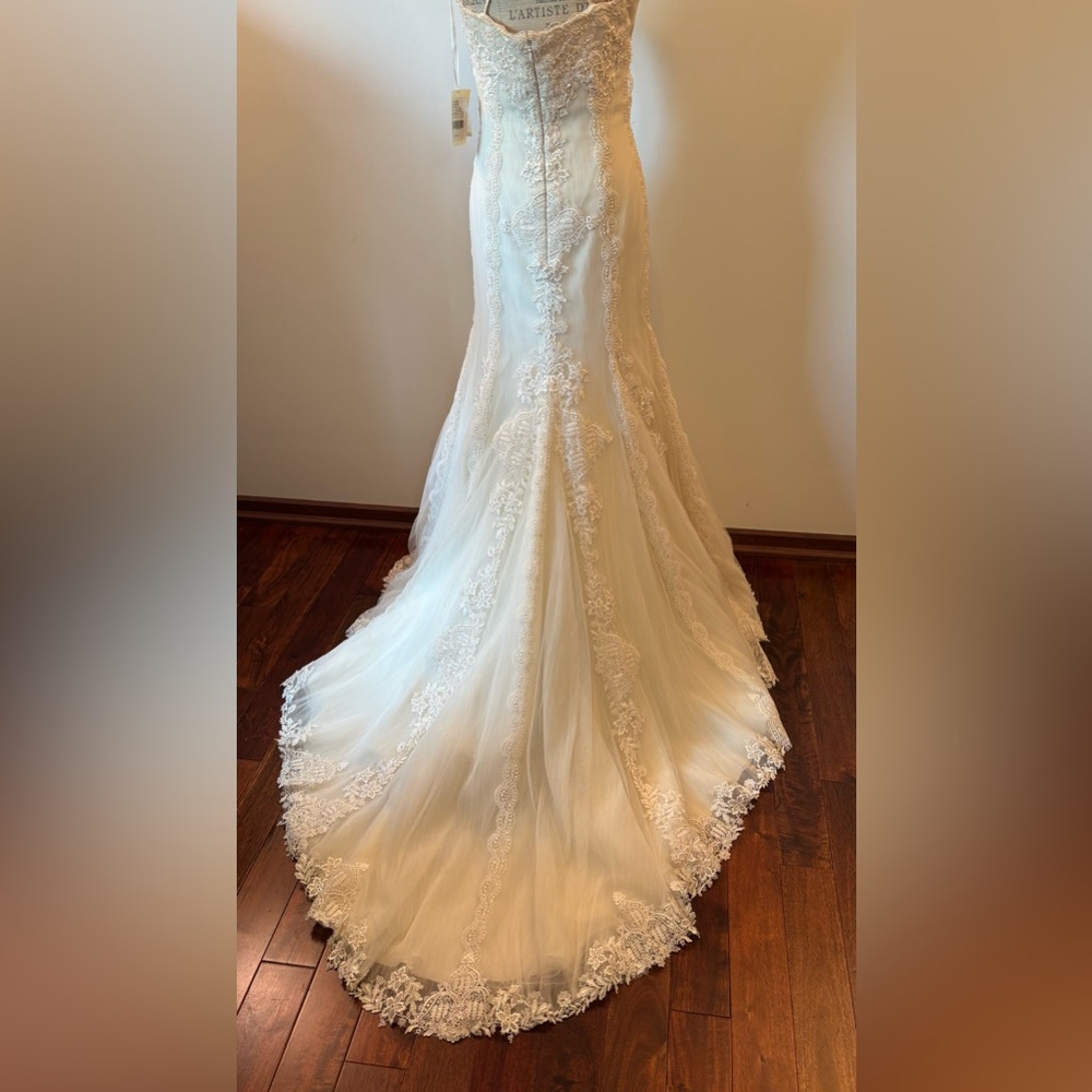 Pronovias Barcelona Huella Vintage Inspired Lace Wedding Gown - Picture 9 of 15